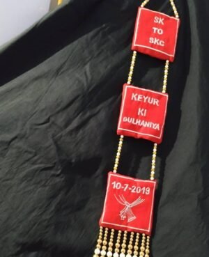 Buy Simple customised lehenga hanging - Blingtastic Jewel